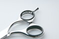 JAGUAR 71055 Xena 5,5