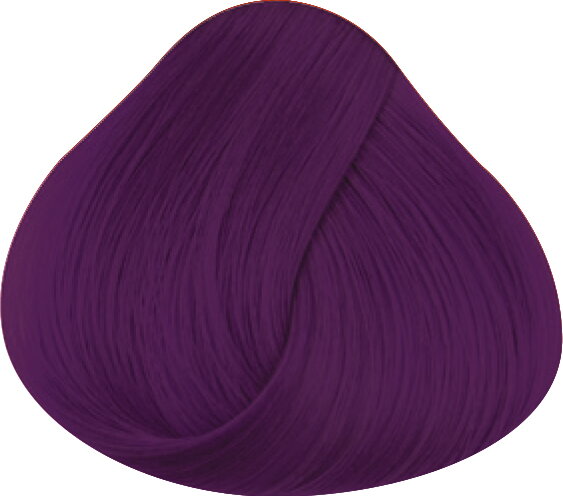 LA RICHÉ Directions Plum 89 ml