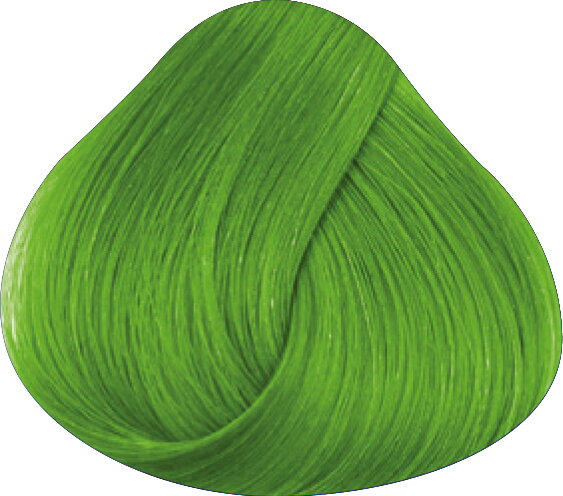 LA RICHÉ Directions Spring Green 89 ml