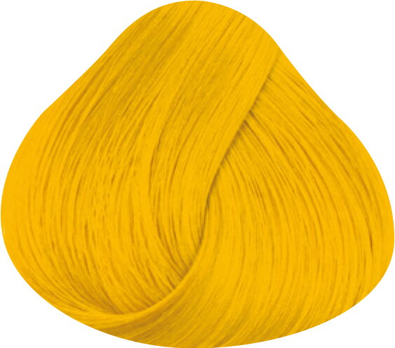 LA RICHÉ Directions Sunflower 89 ml